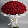 Букет 101 Красная роза Блэк Мэджик в Поселок Кузяевского фарфорового завода