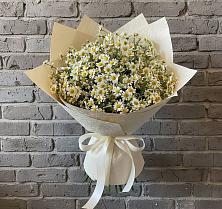 Букет цветов из:  Ромашки #REPLACE_PRED# Поселок Кузяевского фарфорового завода