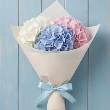 Букет цветов из:  Гортензия #REPLACE_PRED# Поселок Кузяевского фарфорового завода