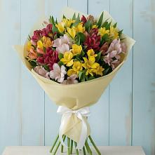 Букет цветов из:  Альстромерии в Поселок Кузяевского фарфорового завода