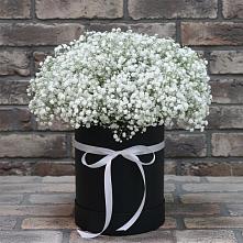 Цветочная композиция из Гипсофила в шляпной коробке в Поселок Кузяевского фарфорового завода