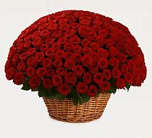 Премиум букет из: Розы в Поселок Кузяевского фарфорового завода