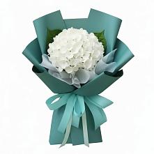 Букет цветов из:  Гортензия в Поселок Кузяевского фарфорового завода